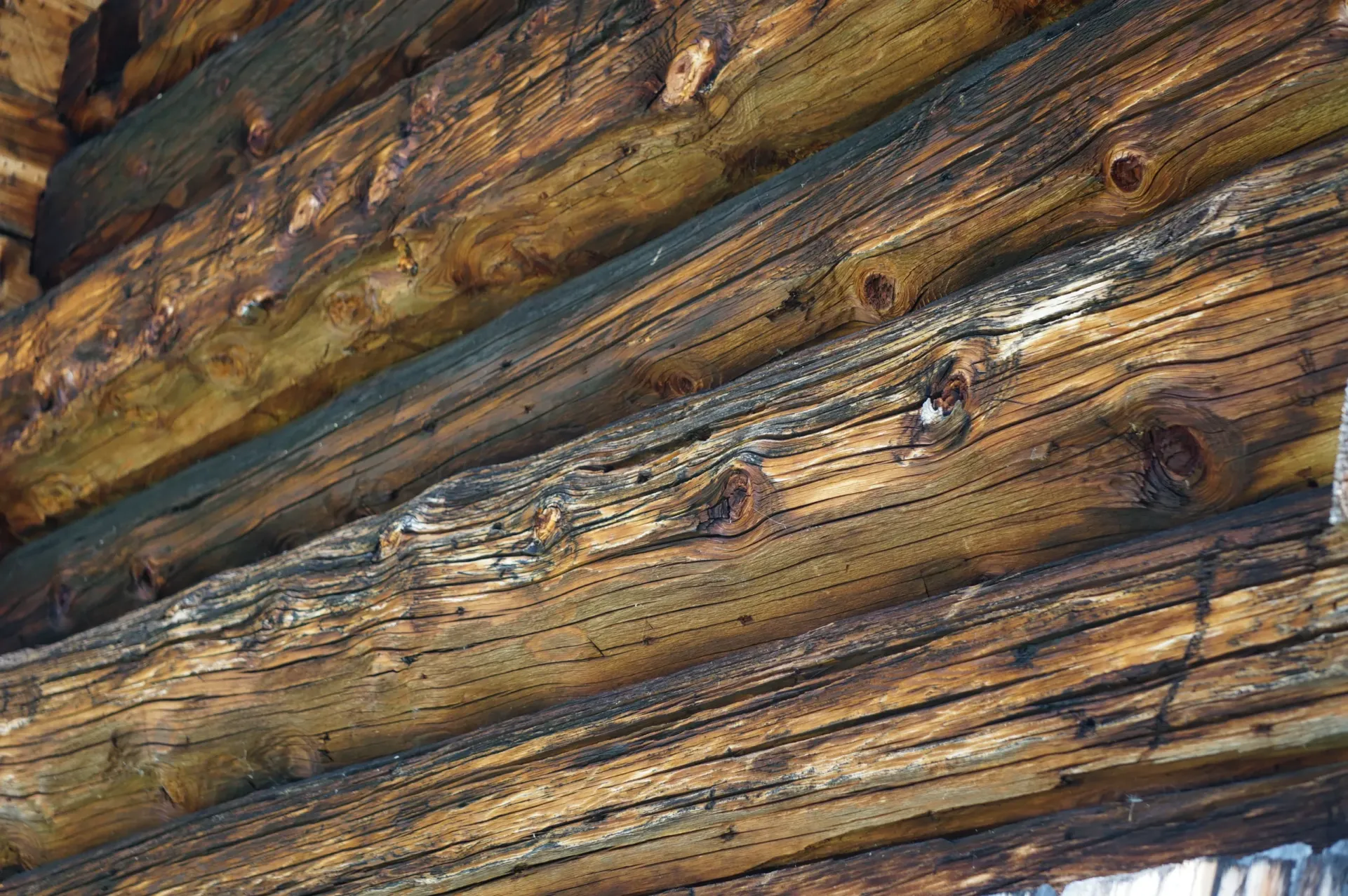 verwitterte Holzstämme in Nahaufnahme