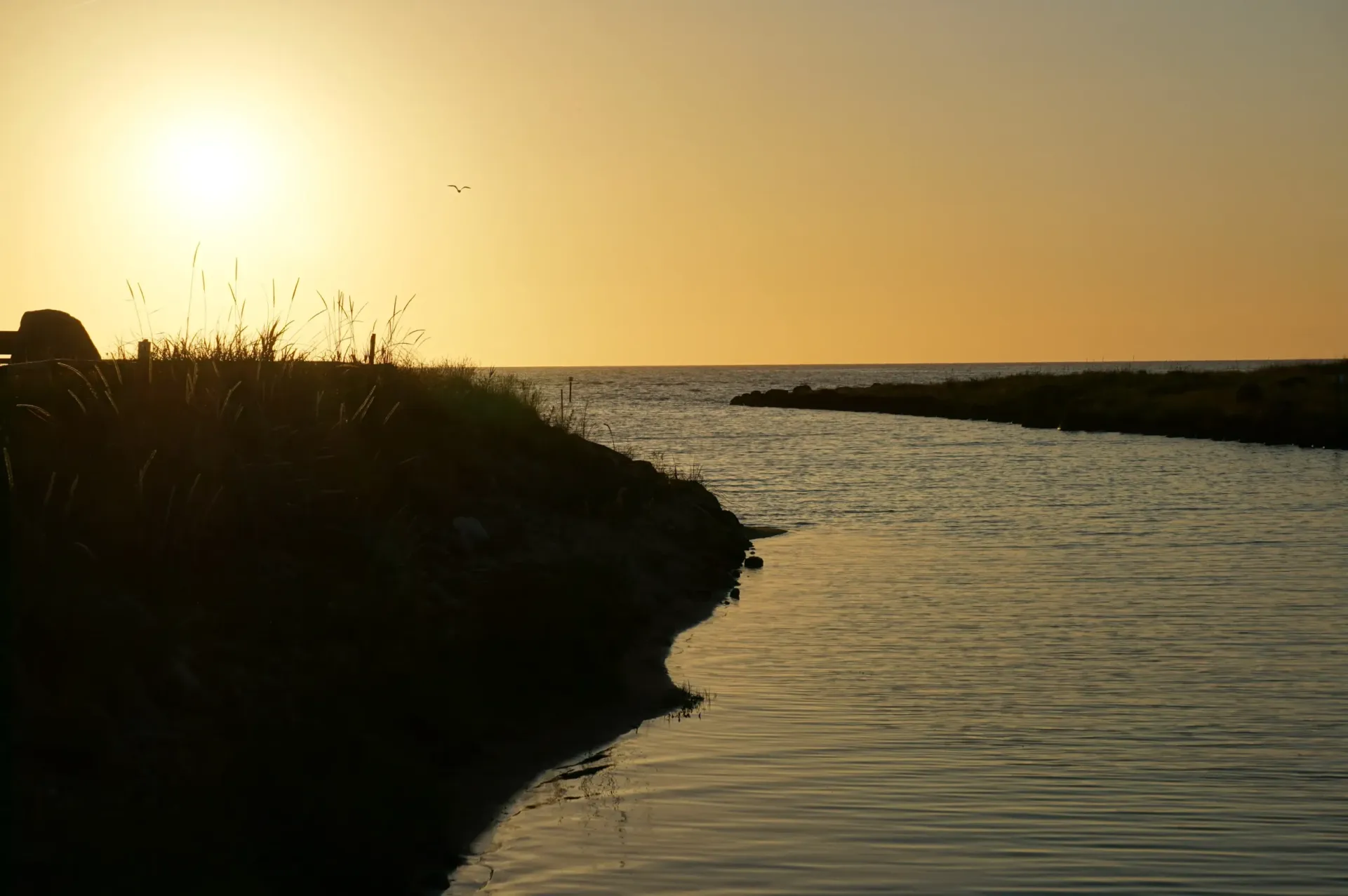 Düne mit Meer bei Sonneaufgang